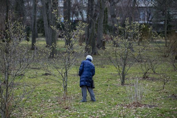По-весеннему теплая погода располагает для прогулок в дендрарии. - Sputnik Молдова
