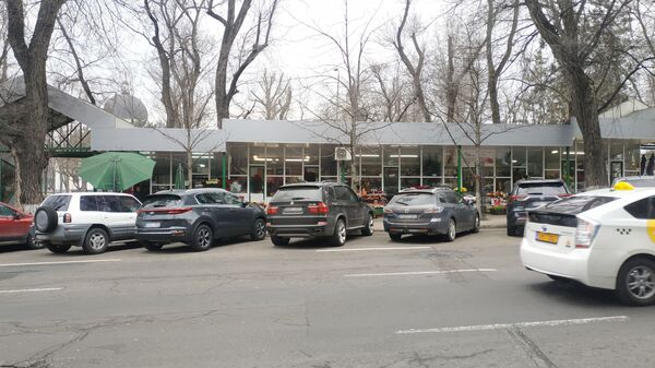 Мэрия Кишинева продолжит установку столбиков вдоль тротуаров в центре города - Sputnik Молдова