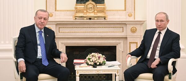 Президент РФ В. Путин встретился с президентом Турции Р. Эрдоганом Президент РФ В. Путин встретился с президентом Турции Р. Эрдоганом - Sputnik Moldova-România