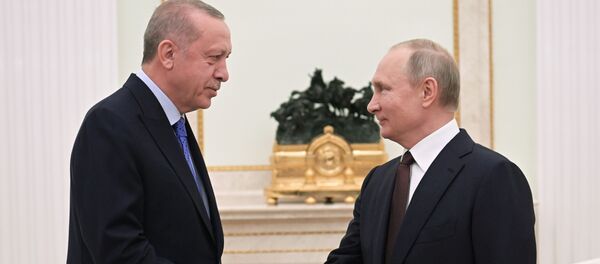 Президент РФ В. Путин встретился с президентом Турции Р. Эрдоганом Президент РФ В. Путин встретился с президентом Турции Р. Эрдоганом - Sputnik Moldova-România