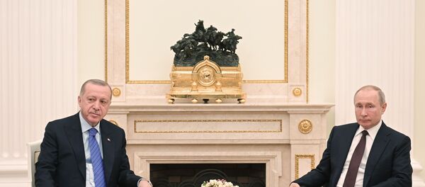 Президент РФ В. Путин встретился с президентом Турции Р. Эрдоганом - Sputnik Moldova-România