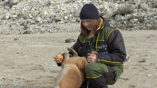 Необычная профессия для девушки: к чему привела любовь к собакам в детстве - Sputnik Молдова