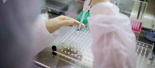 Коронавирус внес коррективы в Молдове: временно запрещены массовые мероприятия - Sputnik Молдова