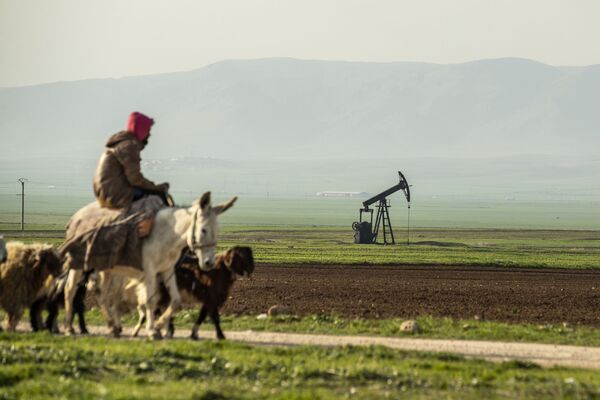 Пастух на осле едет мимо нефтяного месторождения в Сирии на границе с Турцией - Sputnik Молдова