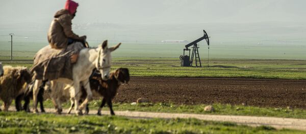 Пастух на осле едет мимо нефтяного месторождения в Сирии на границе с Турцией Пастух на осле едет мимо нефтяного месторождения в Сирии на границе с Турцией - Sputnik Молдова