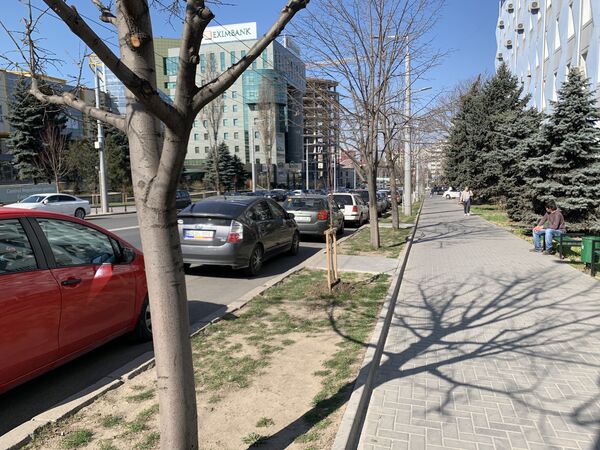Опустевший Кишинев - как выглядела столица в пятницу, 13-го Опустевший Кишинев - как выглядела столица в пятницу, 13-го - Sputnik Молдова