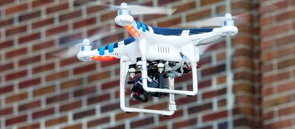 Drone - Sputnik Moldova