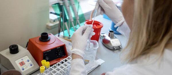 Медицинский работник проводит диагностические тесты на коронавирус - Sputnik Moldova