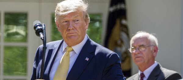 Президент США Дональд Трамп - Sputnik Moldova-România