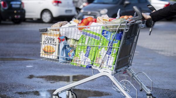 Покупатель с тележкой, наполненной продуктами в супермаркете в Германии - Sputnik Moldova-România