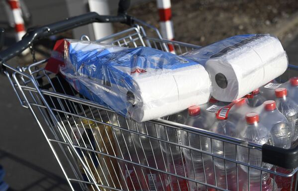 Туалетная бумага в тележке покупателя в супермаркете Дортмунда - Sputnik Молдова
