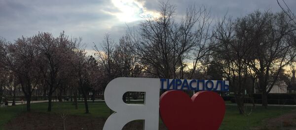 Четвертый день карантина в Тирасполе: повседневные пейзажи - Sputnik Молдова