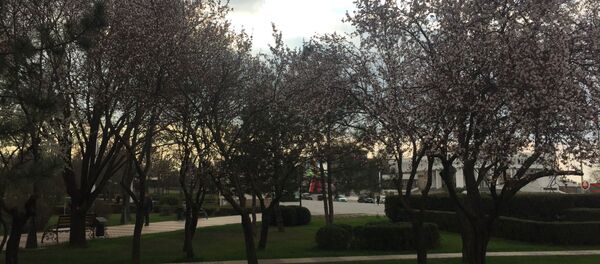 Четвертый день карантина в Тирасполе: повседневные пейзажи Четвертый день карантина в Тирасполе: повседневные пейзажи - Sputnik Молдова