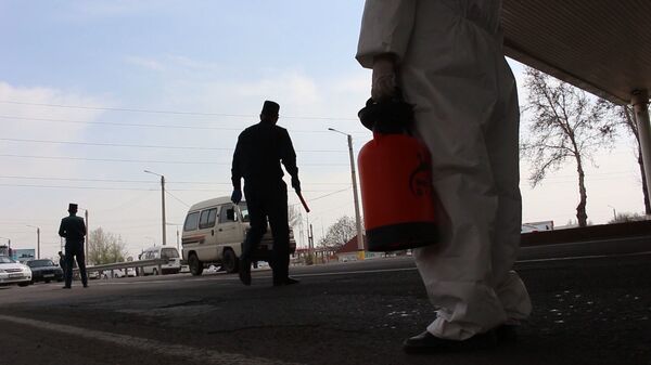 Поддельный авиабилет и лжевакцина: как мошенники наживаются на коронавирусе - Sputnik Молдова