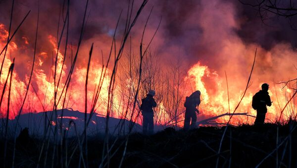 Сотрудники противопожарной службы тушат возгорание - Sputnik Moldova