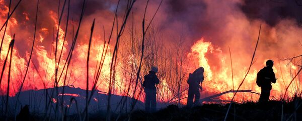 Сотрудники противопожарной службы тушат возгорание - Sputnik Moldova