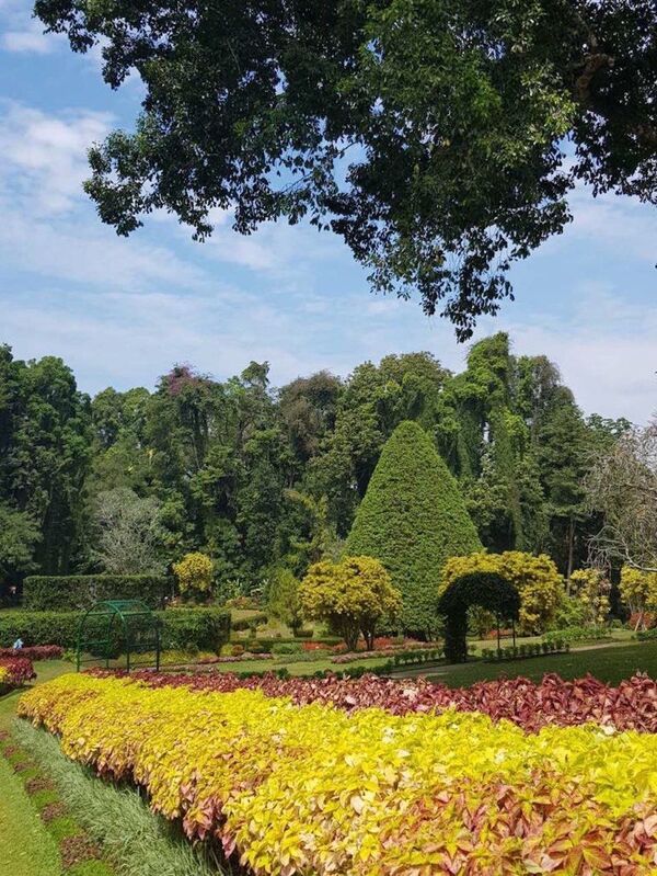 COVID-19 a anulat toate vacanțele: Situația în care s-au pomenit agențiile de turism COVID-19 a anulat toate vacanțele: Situația în care s-au pomenit agențiile de turism - Sputnik Moldova