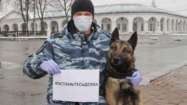 Российские экстренные службы поддержали флешмоб #StayHome - Sputnik Молдова