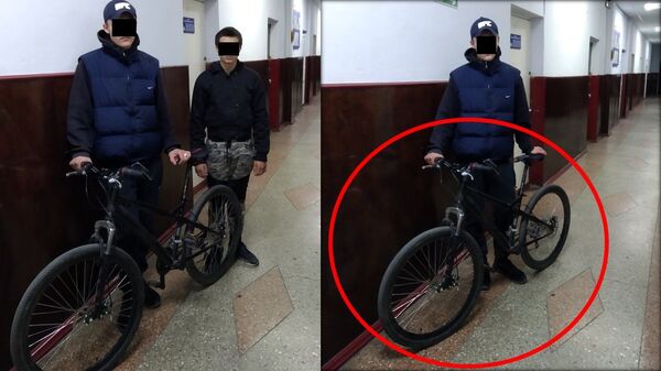 Hoții nu stau acasă nici pe timp de pandemie - Unul și-a jefuit chiar propria mamă Hoții nu stau acasă nici pe timp de pandemie - Unul și-a jefuit chiar propria mamă - Sputnik Moldova