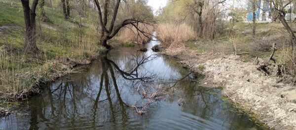 Река Бык в Кишиневе стала чище - Sputnik Молдова