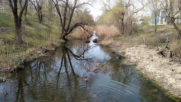 Река Бык в Кишиневе стала чище - Sputnik Молдова