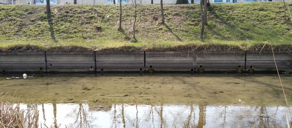 Река Бык в Кишиневе стала чище Река Бык в Кишиневе стала чище - Sputnik Молдова