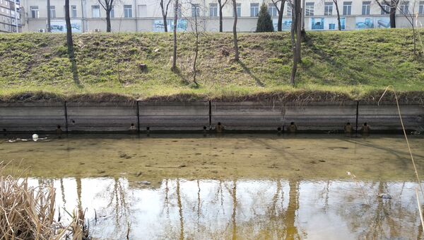 Река Бык в Кишиневе стала чище - Sputnik Молдова