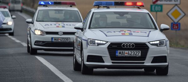 Polițiștii români la intrarea în orașul Țăndărei - Sputnik Moldova-România