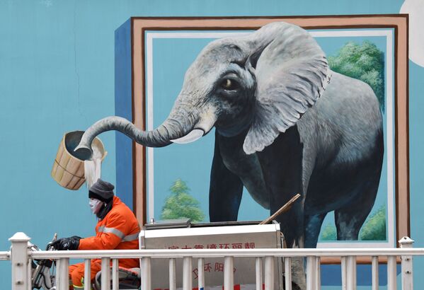 Рабочий в медицинской маске на фоне граффити с изображением слона в Пекине, Китай - Sputnik Молдова