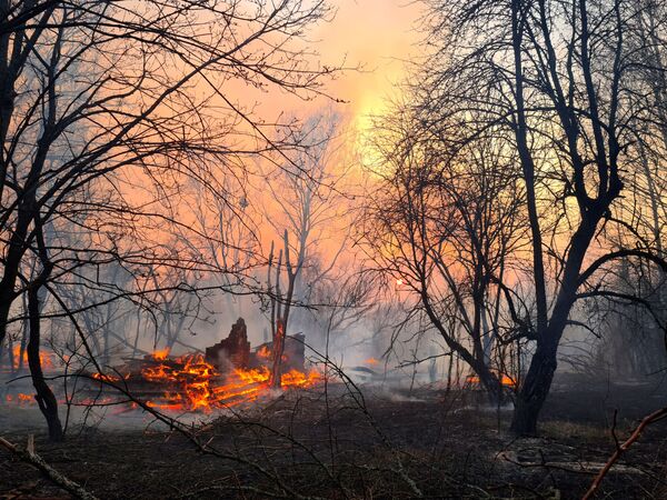 Лесной пожар в Чернобыльской зоне  - Sputnik Молдова