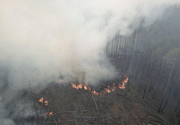 Лесной пожар в Чернобыльской зоне - Sputnik Молдова