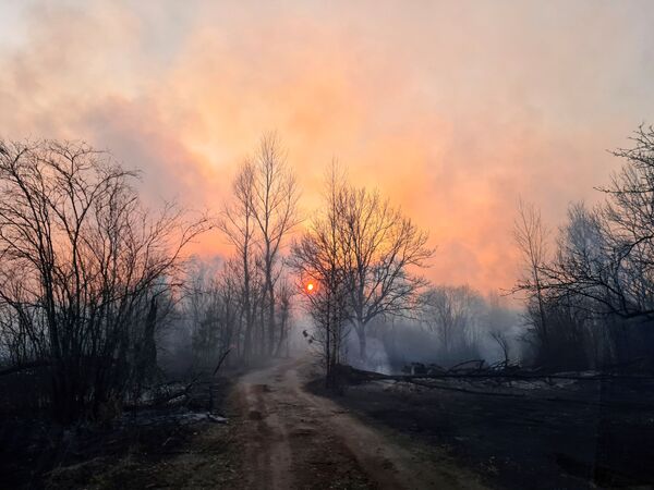 Лесной пожар в Чернобыльской зоне - Sputnik Молдова