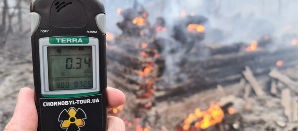 Лесной пожар в Чернобыльской зоне - Sputnik Moldova