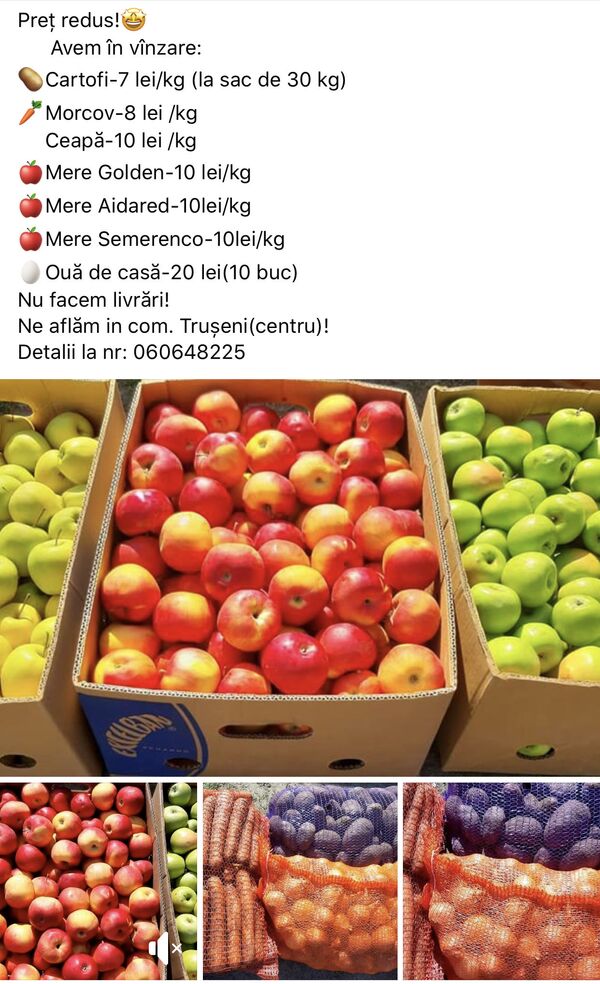 Piața s-a mutat pe Facebook: Producătorii autohtoni propun o gamă largă de produse Piața s-a mutat pe Facebook: Producătorii autohtoni propun o gamă largă de produse - Sputnik Moldova