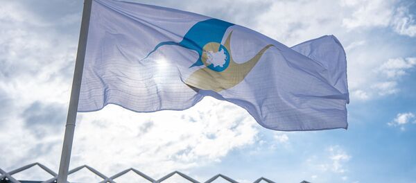 Президент РФ В. Путин принимает участие в заседании Высшего Евразийского экономического совета - Sputnik Moldova