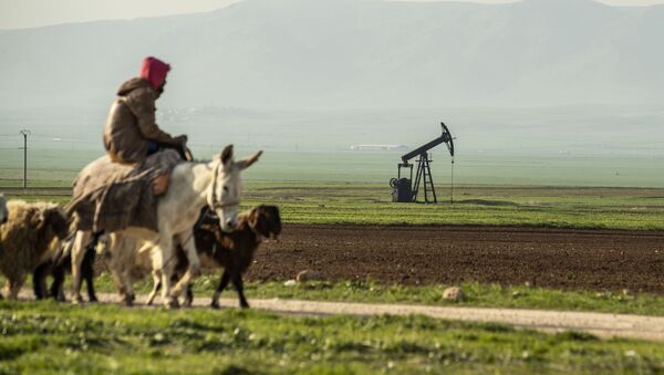 Пастух на осле едет мимо нефтяного месторождения в Сирии на границе с Турцией - Sputnik Moldova