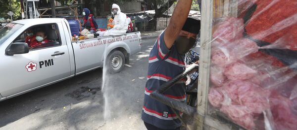  Члены индонезийского Красного Креста дезинфицируют улицы в Джакарте - Sputnik Молдова