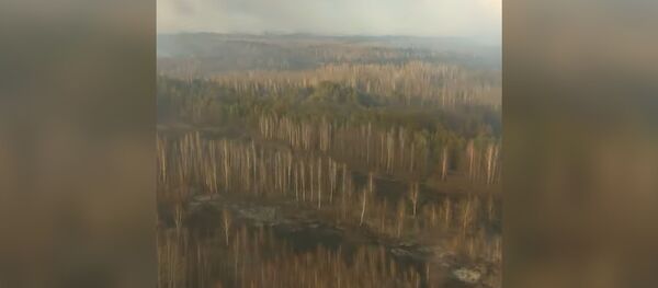 Лесные пожары возле бывшей Чернобыльской АЭС - Sputnik Молдова