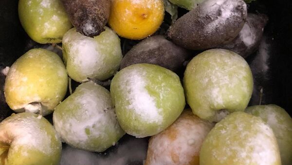 Dezinfectarea legumelor și fructelor cu bicarbonat de sodiu - Sputnik Moldova-România