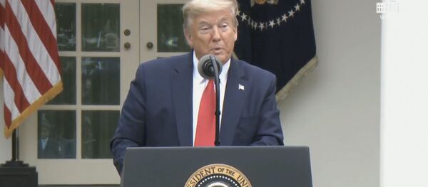 Трамп нашел виноватых в пандемии - это ВОЗ Трамп нашел виноватых в пандемии - это ВОЗ - Sputnik Молдова