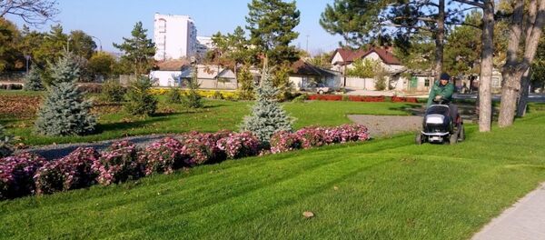 Orhei, spaţii verzi - Sputnik Moldova