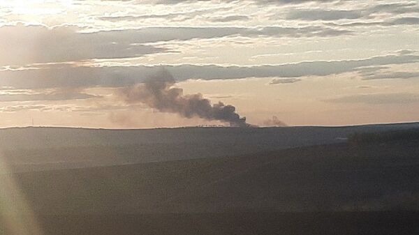 Пожар во Флорештах: в Молдове продолжает гореть сухая растительность Пожар во Флорештах: в Молдове продолжает гореть сухая растительность - Sputnik Молдова