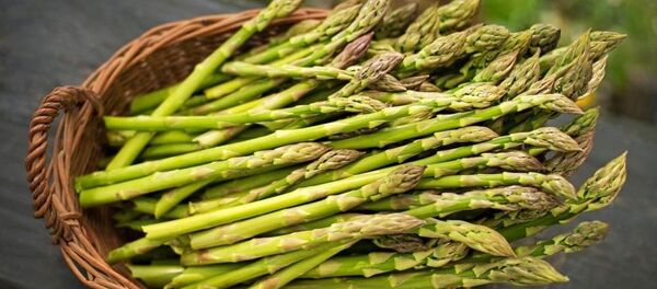 A început recoltarea sparanghelului - Sputnik Moldova