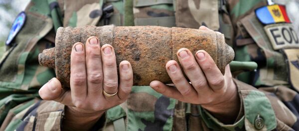 Военный сапер в лесу возле села Яловенского района. - Sputnik Moldova