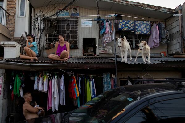 Девочки с собаками на крыше дома во время самоизоляции на Филиппинах - Sputnik Молдова
