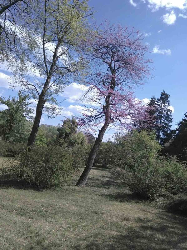 Parcul Dendrariu este în ”carantină”, însă nu și natura de aici: Ce fac acum angajații Parcul Dendrariu este în ”carantină”, însă nu și natura de aici: Ce fac acum angajații - Sputnik Moldova