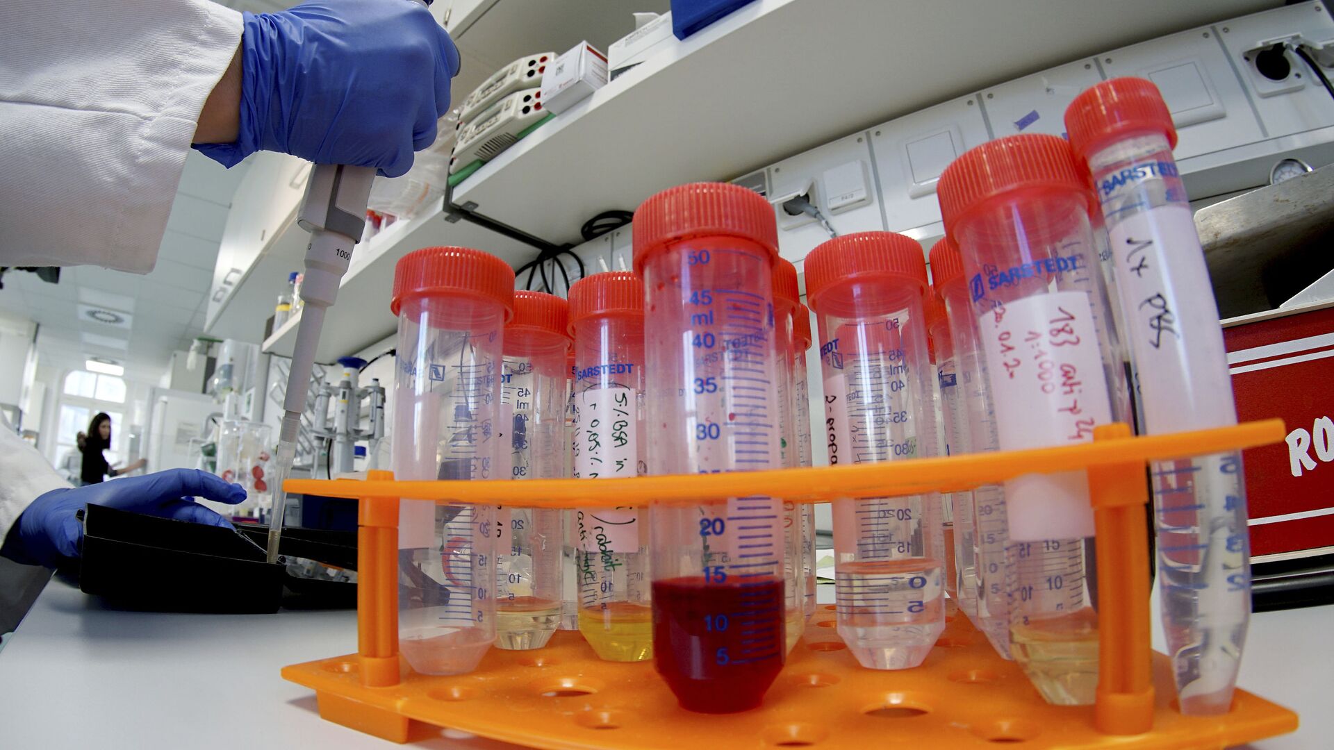 A lab assistant works on samples after an AP interview with Christian Drosten, director of the institute for virology of Berlin's Charite hospital on his researches on the coronavirus in Berlin, Germany, Tuesday, Jan. 21, 2020 - Sputnik Moldova-România, 1920, 26.05.2021