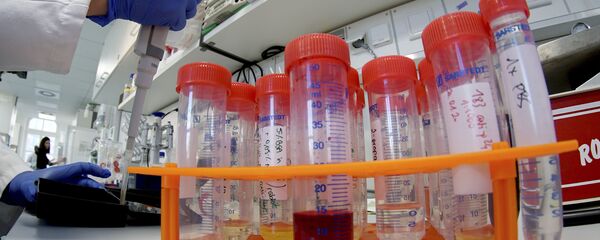 A lab assistant works on samples after an AP interview with Christian Drosten, director of the institute for virology of Berlin's Charite hospital on his researches on the coronavirus in Berlin, Germany, Tuesday, Jan. 21, 2020 A lab assistant works on samples after an AP interview with Christian Drosten, director of the institute for virology of Berlin's Charite hospital on his researches on the coronavirus in Berlin, Germany, Tuesday, Jan. 21, 2020 - Sputnik Moldova-România