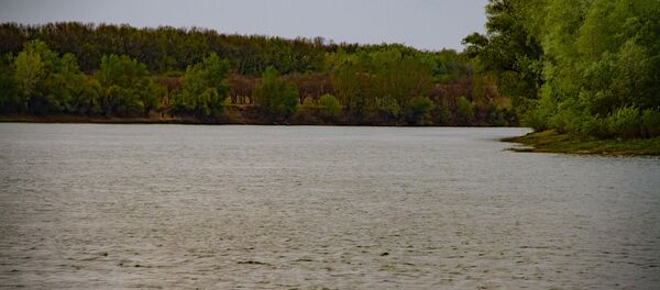 Rîul Nistru Rîul Nistru - Sputnik Moldova