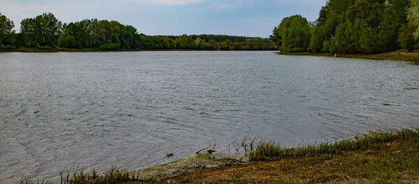 Rîul Nistru - Sputnik Moldova